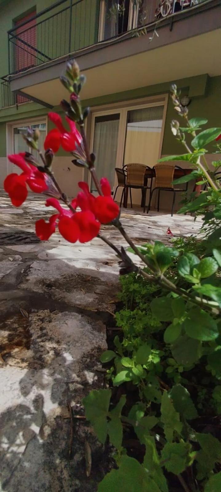 The Green House مالتشيزينيه المظهر الخارجي الصورة